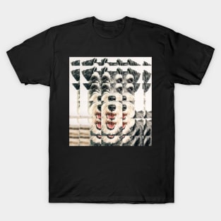 Glass Block Schnauzer looking at you T-Shirt